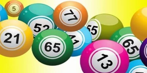 Bạch thủ lô khung 3 ngày chuẩn tuyệt đối – nuôi lô khung